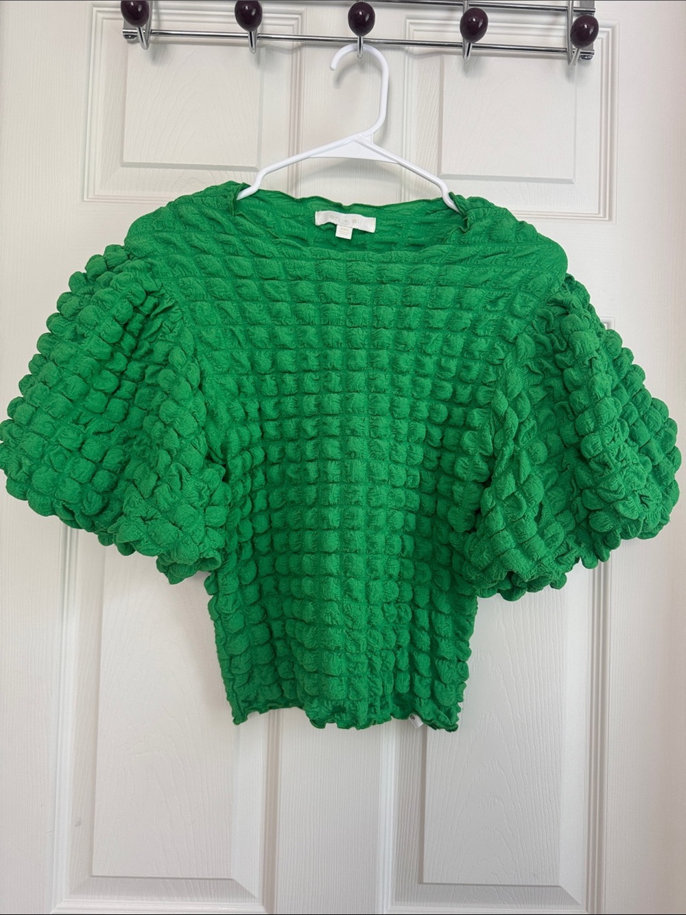 Eri & Ali Anthropology Puff-Sleeve Top in Green